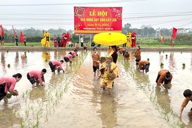 Hung Kings Teach Rice Planting Festival