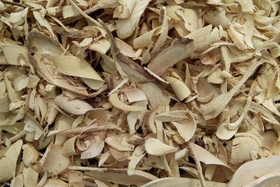 Cách sử dụng xáo tam phân hỗ trợ trị ung thư