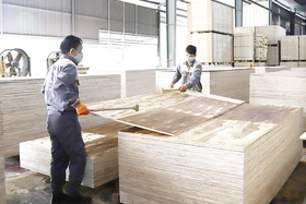 Nâng cao năng suất, chất lượng hàng hóa dựa trên nền tảng khoa học công nghệ