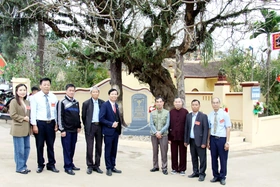 Công nhận Cây Di sản Việt Nam tại xã Dân Quyền