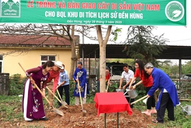 Trồng cây thuộc Dự án “Vườn ươm Quốc gia Đền Hùng”