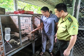 Đổi mới trong quản lý động vật hoang dã