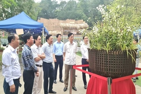Phó Chủ tịch UBND tỉnh Nguyễn Huy Ngọc tham quan không gian trưng bày hoa lan nghệ thuật toàn quốc lần thứ II