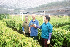 Đồng hành với cựu chiến binh