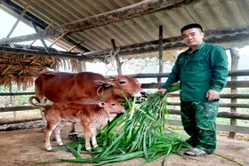 Đảm bảo sinh kế, giúp người dân thoát nghèo