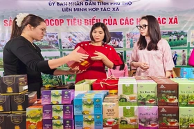 Giá một số mặt hàng tiêu dùng ngày 16/4/2025