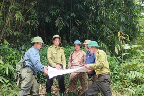 Tăng cường công tác phòng cháy, chữa cháy rừng