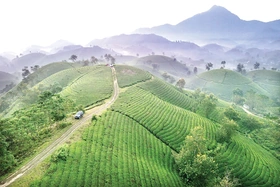 Liên kết để phát triển du lịch