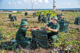 Góp màu xanh cho Trường Sa