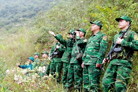 Vững vàng bước chân tuần tra