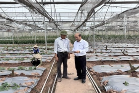 Tiếp sức cho nông nghiệp, nông thôn phát triển