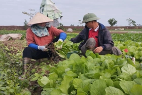 Giá cả thị trường ngày 27/4/2025