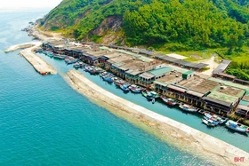 Vì sao du khách đến Hà Tĩnh nhất định thưởng thức mực nhảy Vũng Áng?