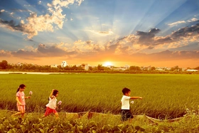 Cái nắng đầu đông hanh hao, đưa tôi về những miền nhớ.