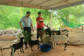 Giúp nhau phát triển kinh tế, giảm nghèo bền vững