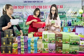 Đẩy mạnh hỗ trợ các Hợp tác xã tiêu thụ sản phẩm