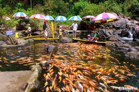 Khám phá những “toạ độ sống ảo” ở miền Tây Nghệ An