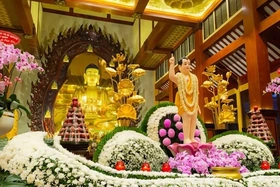 Lễ Phật Đản: Ý nghĩa tặng chậu Lan Hồ Điệp dâng Phật