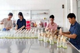 Giải pháp cho tương lai xanh