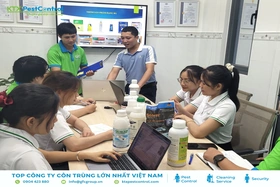 Diệt Côn Trùng KTX - Công ty chuyên cung cấp dịch vụ diệt mối tại nhà