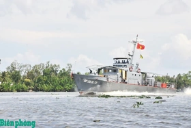 Như những cánh hải âu vững vàng trên biển