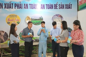 Hợp tác xã đảm bảo an toàn, vệ sinh lao động