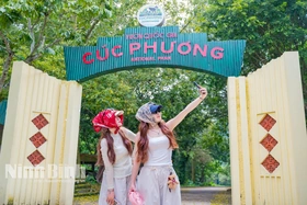 Trải nghiệm mùa bướm cực “chill” ở Cúc Phương