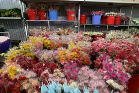 Quỳnh Phương Đà Lạt - Công ty hoa tươi dẫn đầu thị trường, vươn tầm quốc gia