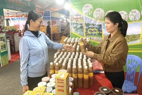 Linh hoạt trong xúc tiến thương mại