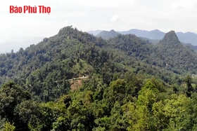 Chủ động ứng phó với nguy cơ cháy rừng mùa nắng nóng