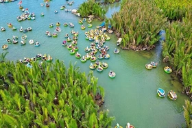 Rừng dừa Bảy Mẫu - điểm đến xanh bên dòng sông Thu Bồn