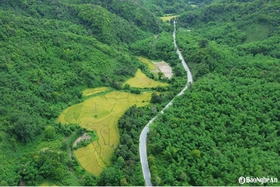 Đồng lúa chín đẹp giữa núi rừng miền Tây xứ Nghệ