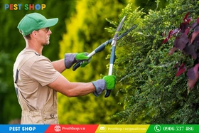 Bí quyết đuổi rắn ra khỏi vườn hiệu quả cập nhật 2025