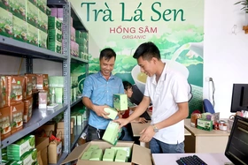 Nâng cao hiệu quả hoạt động của HTX thương mại, dịch vụ