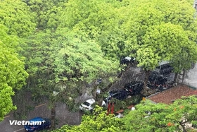 Thời tiết ngày 28/5: Hà Nội và nhiều tỉnh thành trên cả nước có mưa