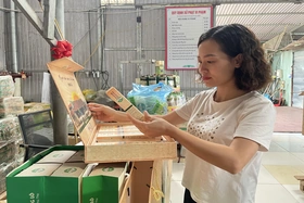 Nâng cao nhận thức về sở hữu trí tuệ