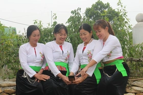 Chú trọng thực hiện bình đẳng giới