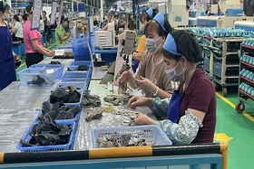 Doanh nghiệp dệt may ứng phó với biến động của thị trường