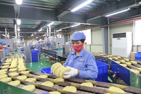 Doanh thu 6 tháng đầu năm của các doanh nghiệp trong các Khu công nghiệp đạt hơn 60 ngàn tỷ đồng