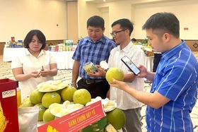 Giá cả thị trường ngày 30/5/2025