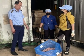 Phát hiện và xử lý 370kg chân gà đông lạnh không rõ nguồn gốc, xuất xứ