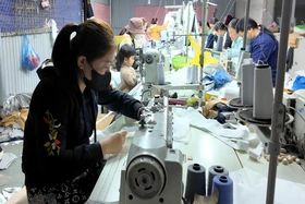 Đồng hành cùng hội viên phụ nữ phát triển kinh tế