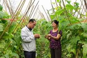 Nông dân Thanh Sơn thi đua sản xuất, kinh doanh giỏi