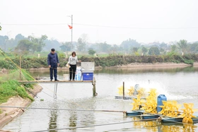 Thi đua phát triển kinh tế, giảm nghèo bền vững