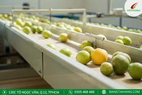 Băng  tải nông sản:  Đặc  điểm,  ứng dụng  và  một số loại phổ biến