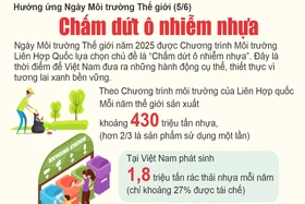 Chấm dứt ô nhiễm nhựa
