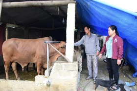 Cự Thắng vươn lên từ nội lực