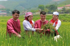 Nông dân Mỹ Thuận giúp nhau phát triển kinh tế