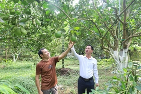 Đưa đặc sản địa phương thành sản phẩm OCOP