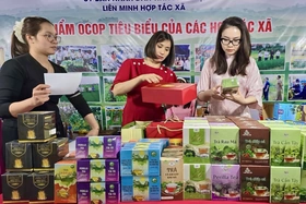 Hỗ trợ HTX xúc tiến tiêu thụ sản phẩm